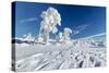 Hornisgrinde mountain in winter, Black Forest, Baden Wurttemberg, Germany, Europe-Markus Lange-Stretched Canvas