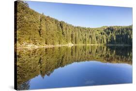 Hornisgrinde Mountain Reflecting in Mummelsee Lake-Markus-Stretched Canvas