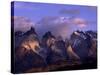 Horns, Andes Mountains, Chile-null-Stretched Canvas