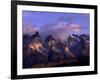 Horns, Andes Mountains, Chile-null-Framed Photographic Print