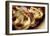 Horns in an Orchestra - Focusing on the Hand of the Musician-null-Framed Giclee Print