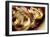 Horns in an Orchestra - Focusing on the Hand of the Musician-null-Framed Giclee Print