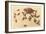 Horny Toad Family-null-Framed Art Print