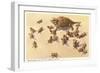 Horny Toad Family-null-Framed Art Print