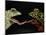 Horny Toads 1-Leah Saulnier-Mounted Giclee Print