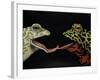 Horny Toads 1-Leah Saulnier-Framed Giclee Print