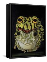 Horny Toads 2-Leah Saulnier-Framed Stretched Canvas