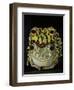 Horny Toads 2-Leah Saulnier-Framed Premium Giclee Print