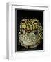 Horny Toads 2-Leah Saulnier-Framed Premium Giclee Print