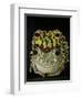 Horny Toads 2-Leah Saulnier-Framed Giclee Print