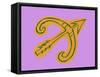 Horoscope: the Sign of the Sagittarius.-Patrizia La Porta-Framed Stretched Canvas