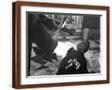 Brown Frame