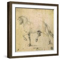 Horse, 1503-Albrecht Dürer-Framed Giclee Print