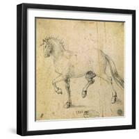 Horse, 1503-Albrecht Dürer-Framed Giclee Print