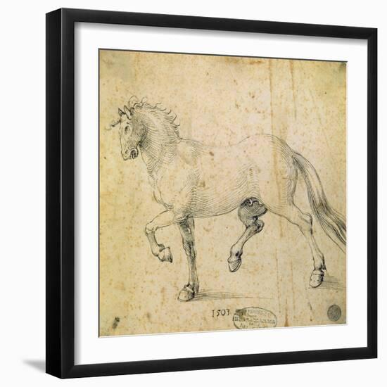 Horse, 1503-Albrecht Dürer-Framed Giclee Print