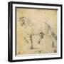 Horse, 1503-Albrecht Dürer-Framed Giclee Print