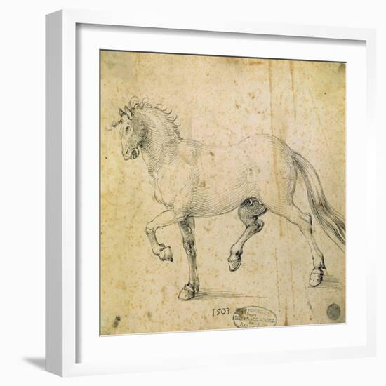 Horse, 1503-Albrecht Dürer-Framed Giclee Print