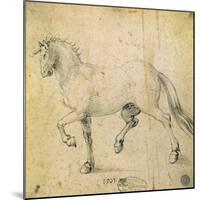 Horse, 1503-Albrecht Dürer-Mounted Giclee Print