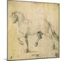 Horse, 1503-Albrecht Dürer-Mounted Giclee Print