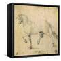 Horse, 1503-Albrecht Dürer-Framed Stretched Canvas