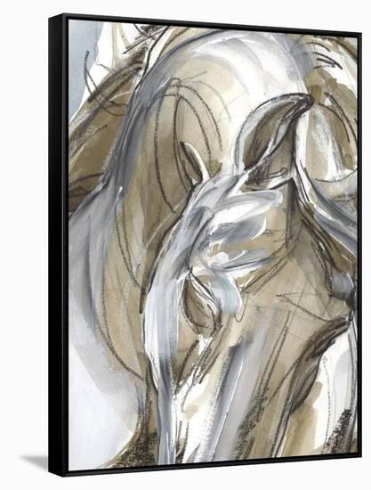 Horse Abstraction I-null-Framed Stretched Canvas