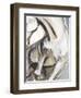 Horse Abstraction II-null-Framed Art Print