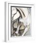 Horse Abstraction II-null-Framed Art Print