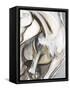 Horse Abstraction II-null-Framed Stretched Canvas