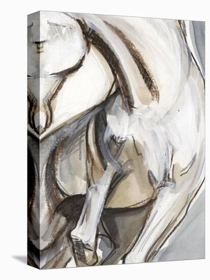Horse Abstraction II-null-Stretched Canvas