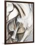 Horse Abstraction II-null-Framed Premium Giclee Print