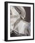 Horse Abstraction III-null-Framed Art Print