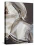 Horse Abstraction III-null-Stretched Canvas