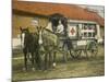 Horse Ambulance at Beverloo Training Camp, Belgium-null-Mounted Photographic Print
