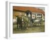 Horse Ambulance at Beverloo Training Camp, Belgium-null-Framed Photographic Print