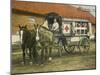 Horse Ambulance at Beverloo Training Camp, Belgium-null-Mounted Photographic Print