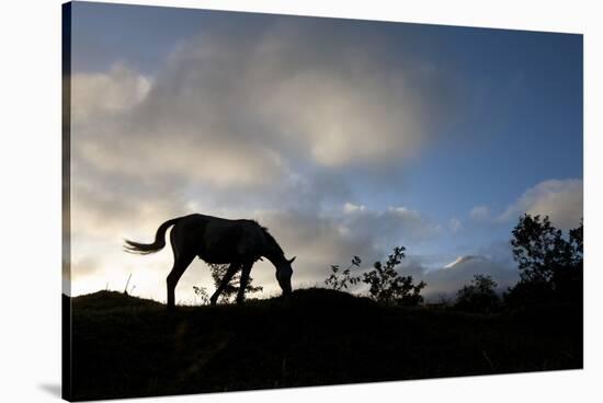 Horse and Arenal Volcano, Costa Rica-Paul Souders-Stretched Canvas