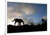 Horse and Arenal Volcano, Costa Rica-Paul Souders-Framed Photographic Print