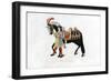 Horse and Attendant, C1511-Henry Shaw-Framed Giclee Print