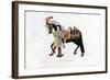 Horse and Attendant, C1511-Henry Shaw-Framed Giclee Print