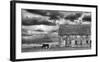 Horse and Barn-Trent Foltz-Framed Art Print