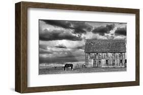 Horse and Barn-Trent Foltz-Framed Art Print