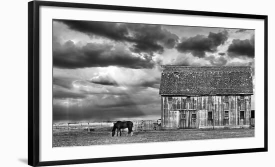 Horse and Barn-Trent Foltz-Framed Art Print