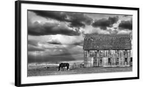 Horse and Barn-Trent Foltz-Framed Art Print