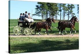 Horse and Buggy 2 Photo Art Print Poster-null-Stretched Canvas