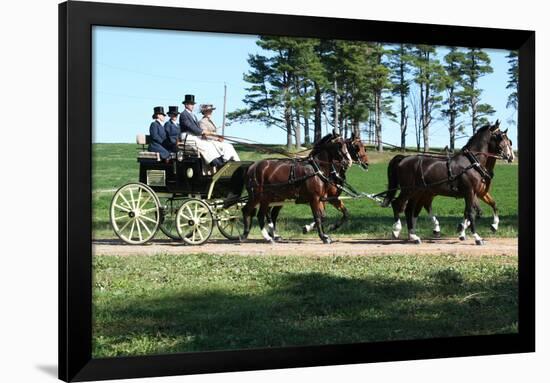 Horse and Buggy 2 Photo Art Print Poster-null-Framed Poster