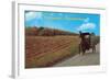 Horse and Buggy, Intercourse-null-Framed Art Print