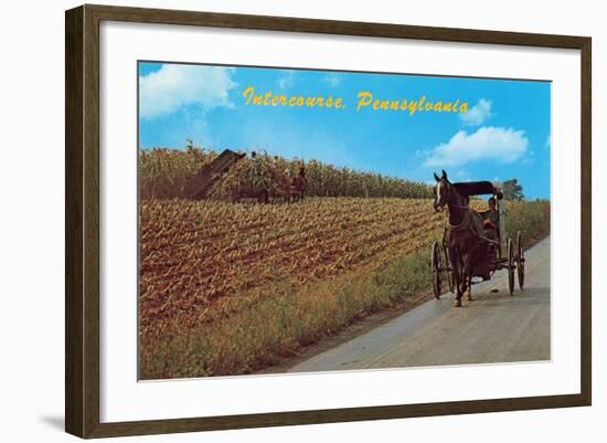 Horse and Buggy, Intercourse-null-Framed Art Print