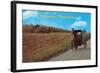 Horse and Buggy, Intercourse-null-Framed Art Print