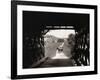 Horse and Buggy Viewed through Covered Bridge-null-Framed Photographic Print