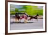 Horse and carriage drives in traffic down Central Park West in Manhattan, New York City, NY-null-Framed Photographic Print